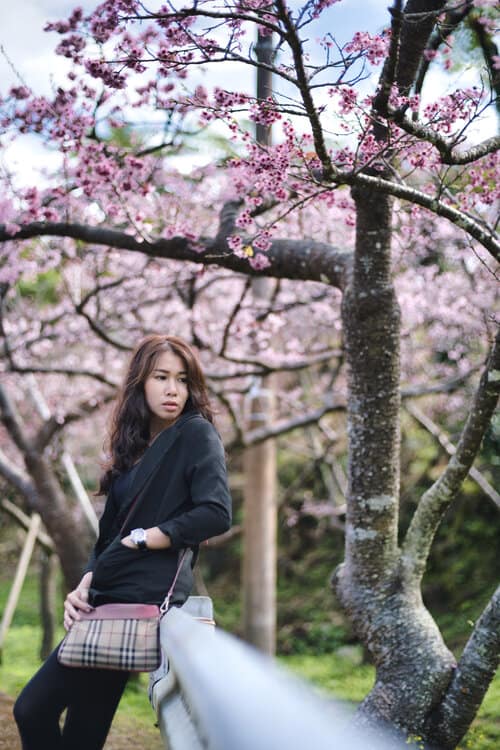 Sylvia-Okinawa+(53+of+61)
